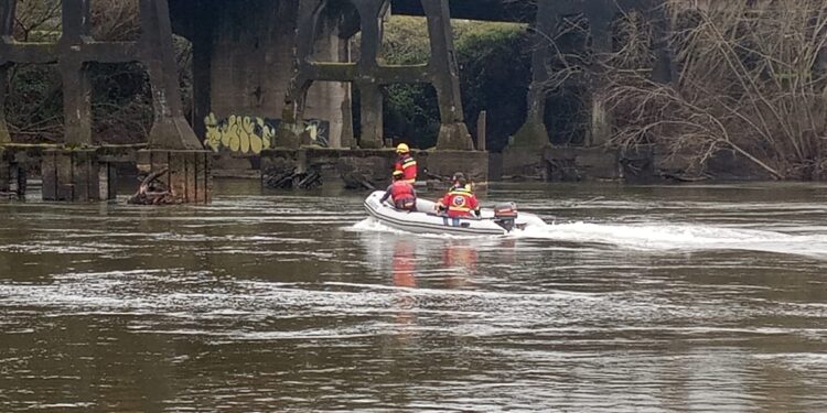 Osorno: Buscan a sujeto que lanzó a un perro desde el puente San Pedro