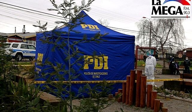 Encuentran cuerpo sin vida de un hombre en una plaza de Llanquihue