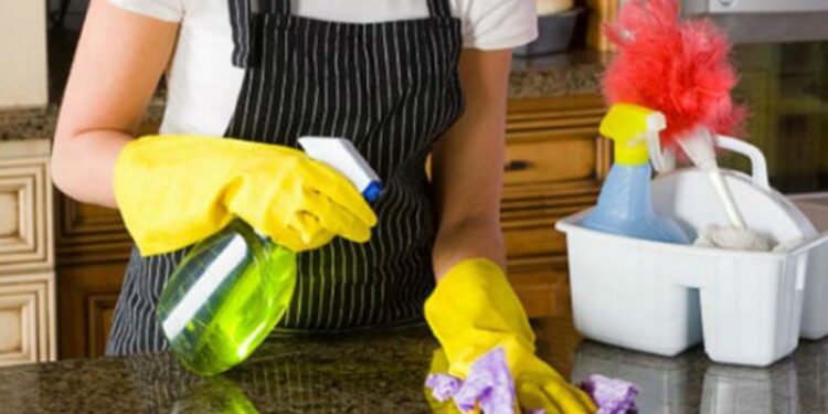 Trabajadoras de casa particular serán capacitadas y certificadas en Osorno