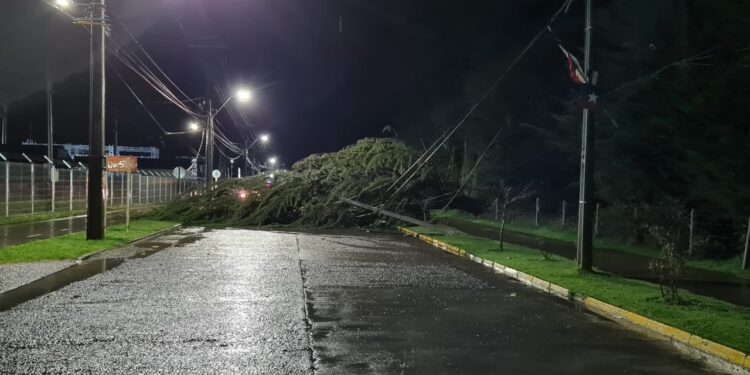 Temporal dejó a más de 3000 personas sin luz en provincias de Osorno y del Ranco