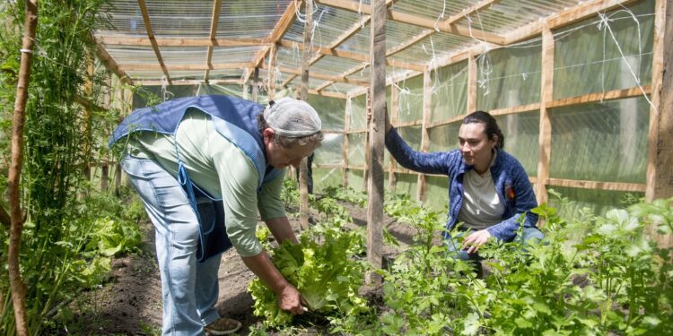 Potenciarán agroecología en ruta de los parques de la Patagonia
