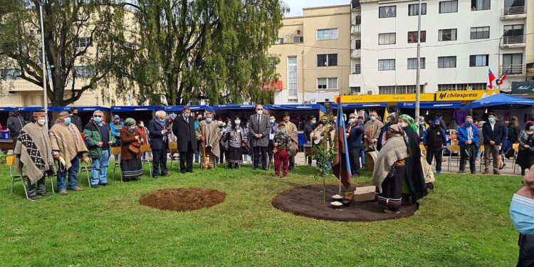 Izan bandera mapuche en la azotea del edificio consistorial de Plaza de Armas