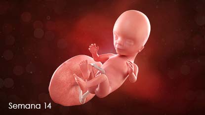 Pastores evangélicos de Osorno aseguran que no apoyarán candidaturas que promuevan el aborto libre