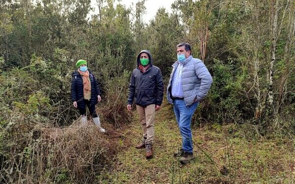 Acogen a trámite solicitud de humedal urbano Pichi Llay Llay de Purranque