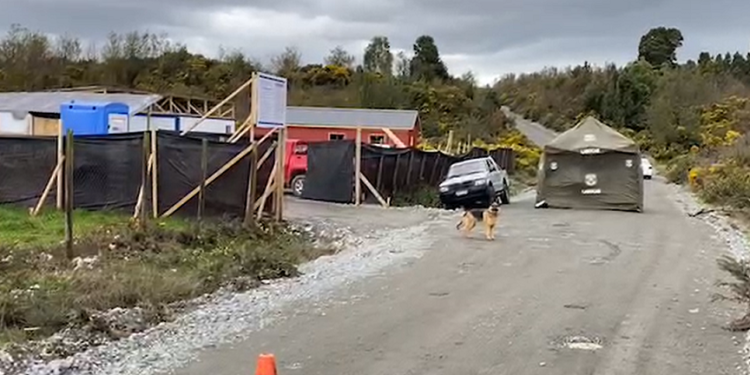 Puerto Montt: Desnudo en una camioneta encuentran cadáver de un hombre