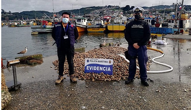 Armada incauta cerca de una tonelada de recurso almeja bajo talla mínima
