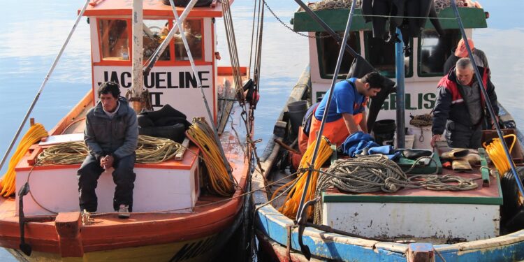 Pescadores artesanales podrán optar a fondo para cubrir gastos básicos y operacionales