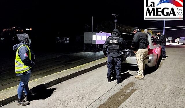 Incautan más de 2 mil locos ocultos en auto particular en Ancud