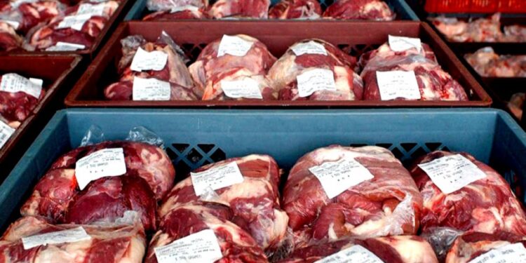 Expertos proyectan caída del precio de la carne en Chile pero por un breve lapso