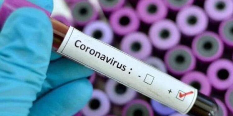 Autoridades de salud pusieron el ojo en Osorno por alzas en casos Covid