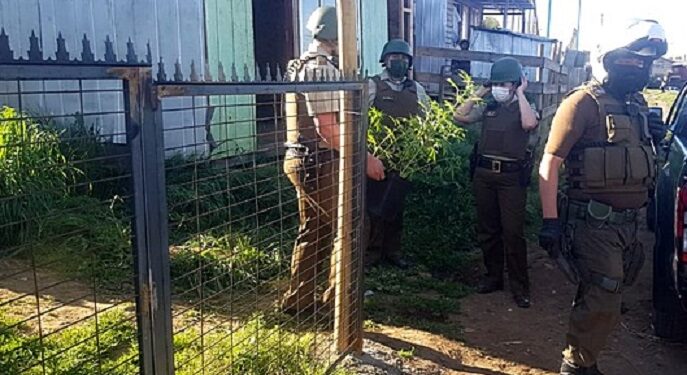 Osorno: Dos heridos a bala decomiso de marihuana y 5 detenidos fue el saldo de un operativo en un campamento de Rahue Alto