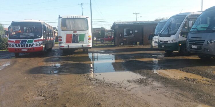 Línea 3 de Rahue Alto anuncia nuevo recorrido de buses para Ovejería