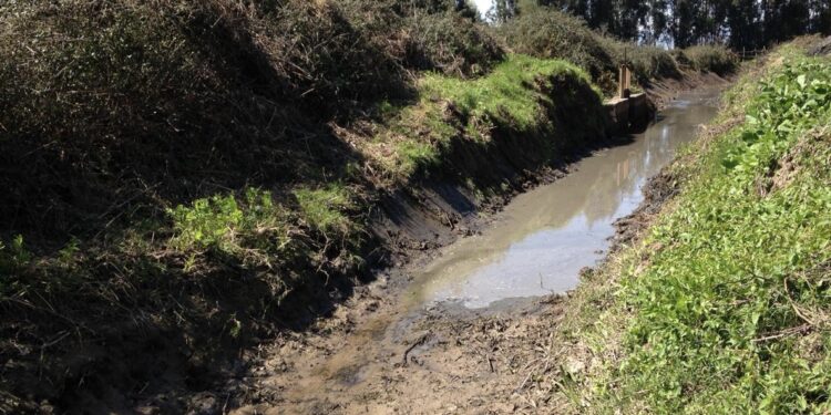 Impulsan mesa de trabajo para abordar déficit hídrico en la región de Los Lagos