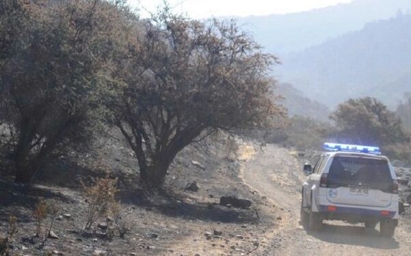 PDI entrega recomendaciones para enfrentar los incendios forestales en la región