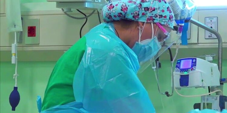 OMS: Ómicron «podría tener un gran impacto en el curso de la pandemia»