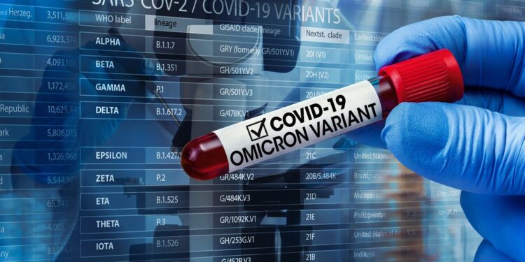 Puerto Montt: Confirman dos casos de la variante Ómicron en la Región de Los Lagos