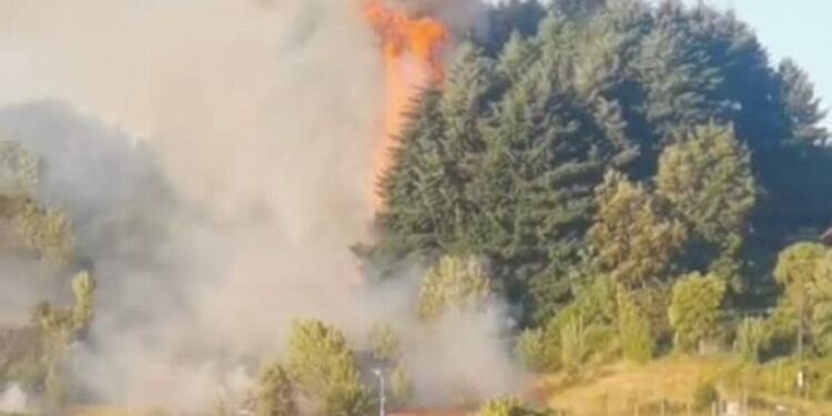 Momentos de terror vivieron vecinos de Los Notros tras incendio en pastizales