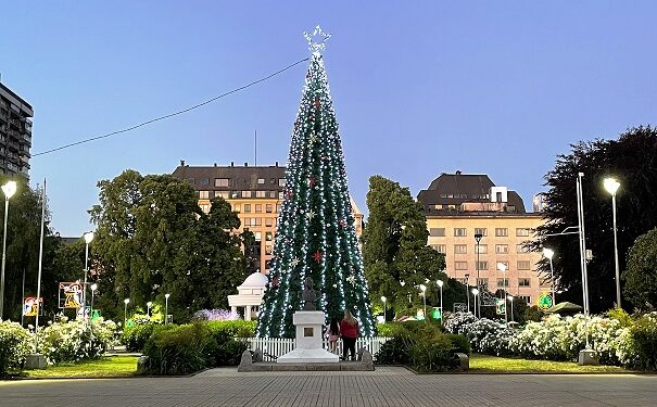 Osorno: Llaman a cuidar árbol de Navidad instalado en Plaza de Armas