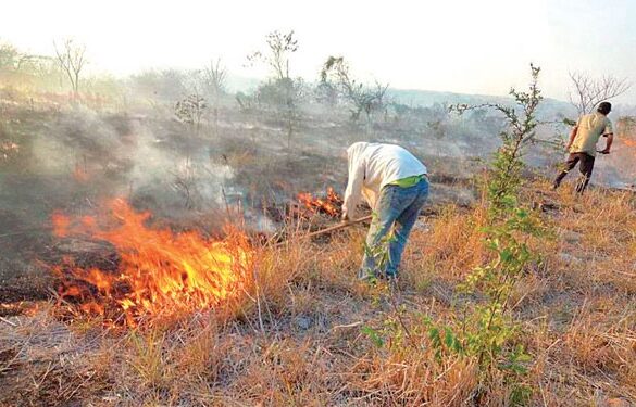 Habrá prohibición total de quemas controladas en terrenos agrícolas ganaderos o de aptitud preferentemente forestal.
