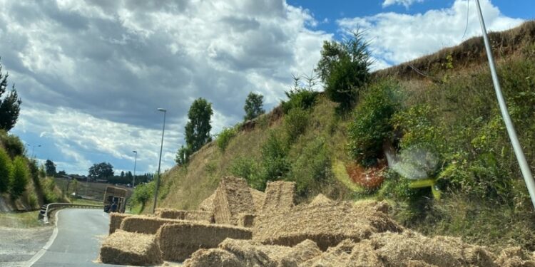 Chofer salvó milagrosamente tras volcar su camión en ruta Pilauco