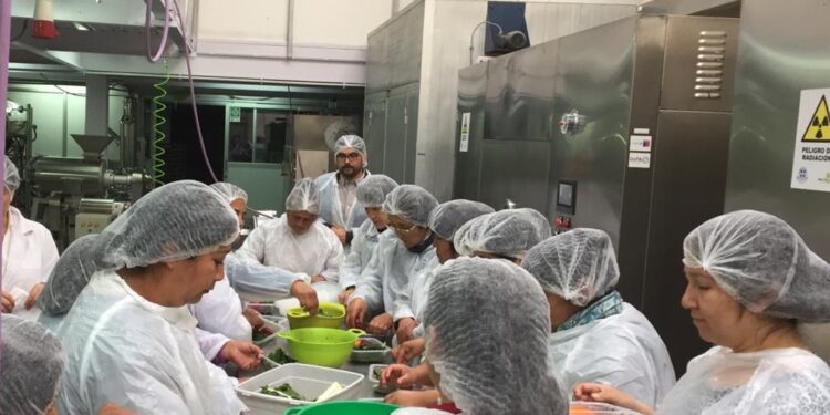En la región de Los Lagos se constituyeron 8.441 nuevas empresas durante 2021