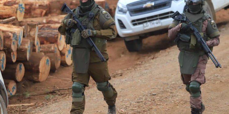 Encuentran muertos dentro de una camioneta a dos trabajadores en fundo de Forestal Mininco