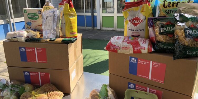 Contraloría confirmó entrega de alimentos a fallecidos y funcionarios públicos durante la pandemia en Los Lagos