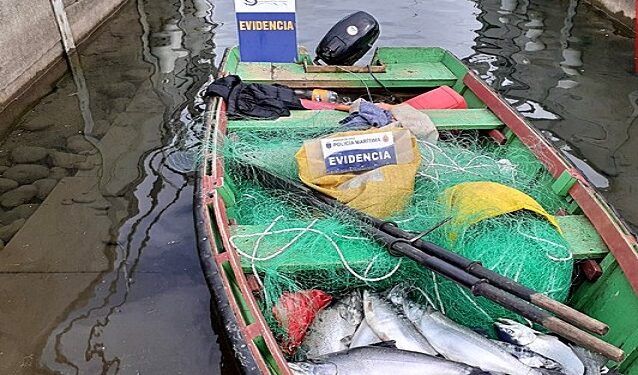Pescadores ilegales fueron sorprendidos tirando redes en el lago Rupanco y se dieron a la fuga