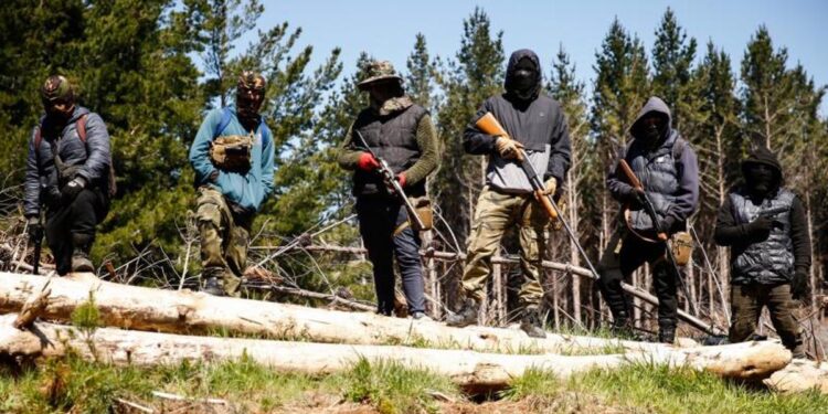 Gremios agrícolas en estado de alerta luego del llamado a la violencia de 13 comunidades en la Macrozonasur