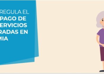 Saesa activa plataforma de consulta por subsidio estatal que cubre deudas acumuladas durante la pandemia