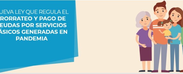 Saesa activa plataforma de consulta por subsidio estatal que cubre deudas acumuladas durante la pandemia