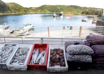 Comunas de la provincia de Osorno se preparan para llegada de turistas durante Semana Santa