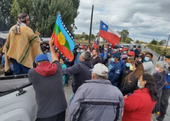 Puerto Octay: Cooperados de la ex Hacienda Rupanco mantienen tomas de terrenos