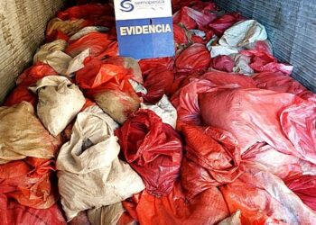 Incautan más de 11 toneladas de semillas de choritos en controles carreteros