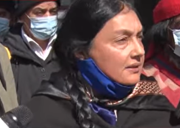 Dan ultimátum de 6 meses al gobierno para que retire empresas forestales de territorios mapuches