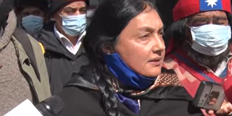 Dan ultimátum de 6 meses al gobierno para que retire empresas forestales de territorios mapuches