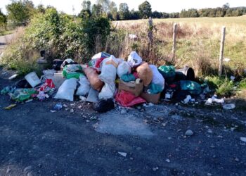 Osorno: Vecinos del sector de Polloico reclaman por microbasurales