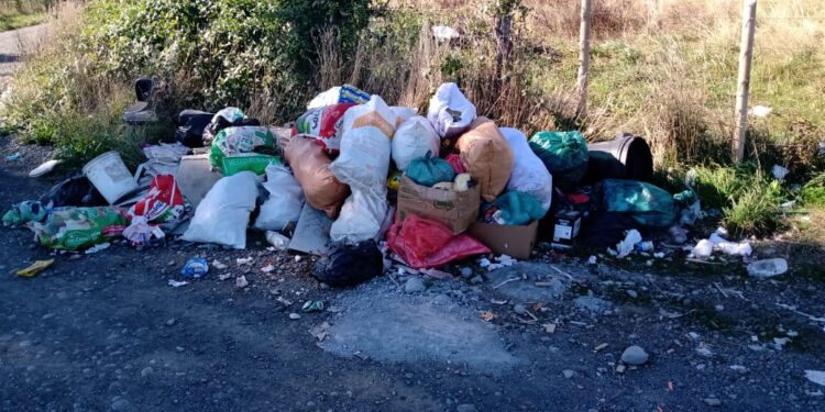 Osorno: Vecinos del sector de Polloico reclaman por microbasurales