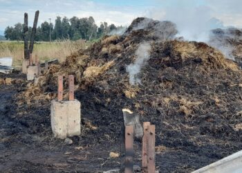 Puyehue: Agricultor califica como terrorismo atentado incendiario contra galpón donde guardaba más de 1000 fardos  