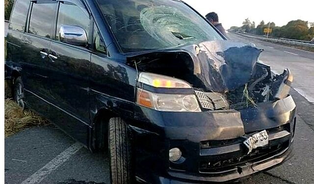 Fatal accidente en Ruta 5 Sur ciclista falleció al chocar con un vehículo