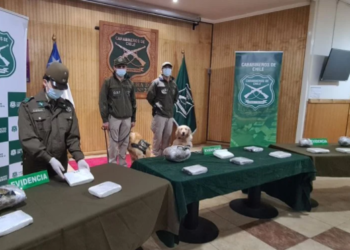 Policías de Los Ríos incautaron 50,9 kilos de drogas durante primeros tres meses del año