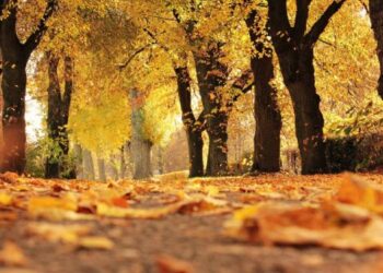 Este domingo 20 de marzo comenzó el otoño en Chile