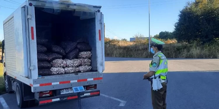 Decomisan dos toneladas de productos del mar en control carretero en Osorno
