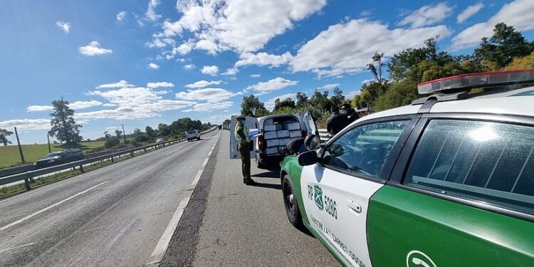 Decomisaron 720 kilogramos de salmón durante fiscalización en Osorno