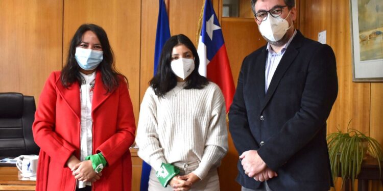 Nombran nuevos seremis de Salud y Educación en la Región de los Lagos