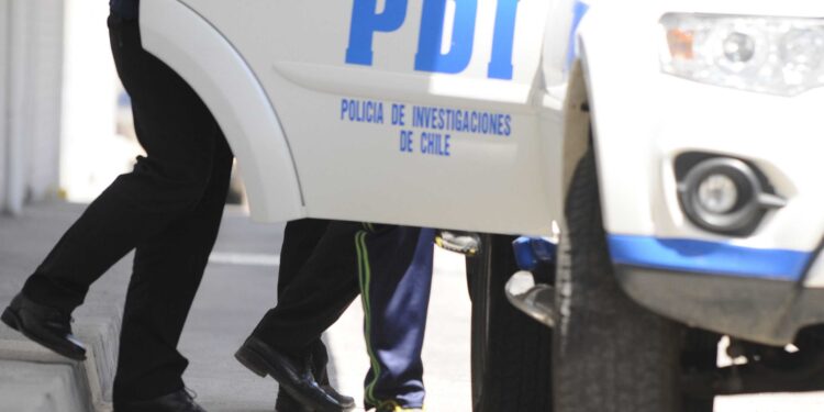Valdivia: PDI investiga maltrato animal en Punucapa
