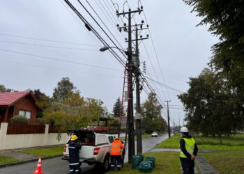 Caída de árboles fue la principal causa de cortes de suministro eléctrico en la región