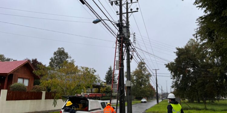 Caída de árboles fue la principal causa de cortes de suministro eléctrico en la región