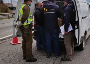 Decomisan más de mil 700 kilos de salmones en provincia de Llanuquihue 