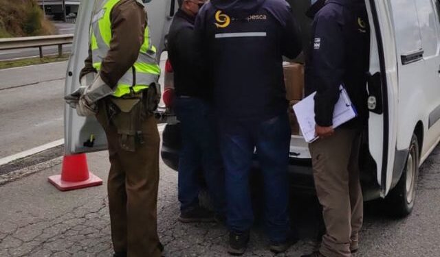 Decomisan más de mil 700 kilos de salmones en provincia de Llanuquihue 